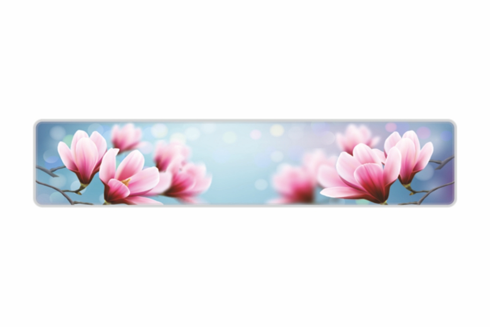 Schild Magnolie reflex 520 x 110 x 1 mm
