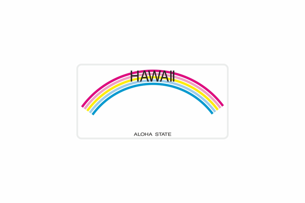 Schild Hawaii 300 x 150 x 1 mm