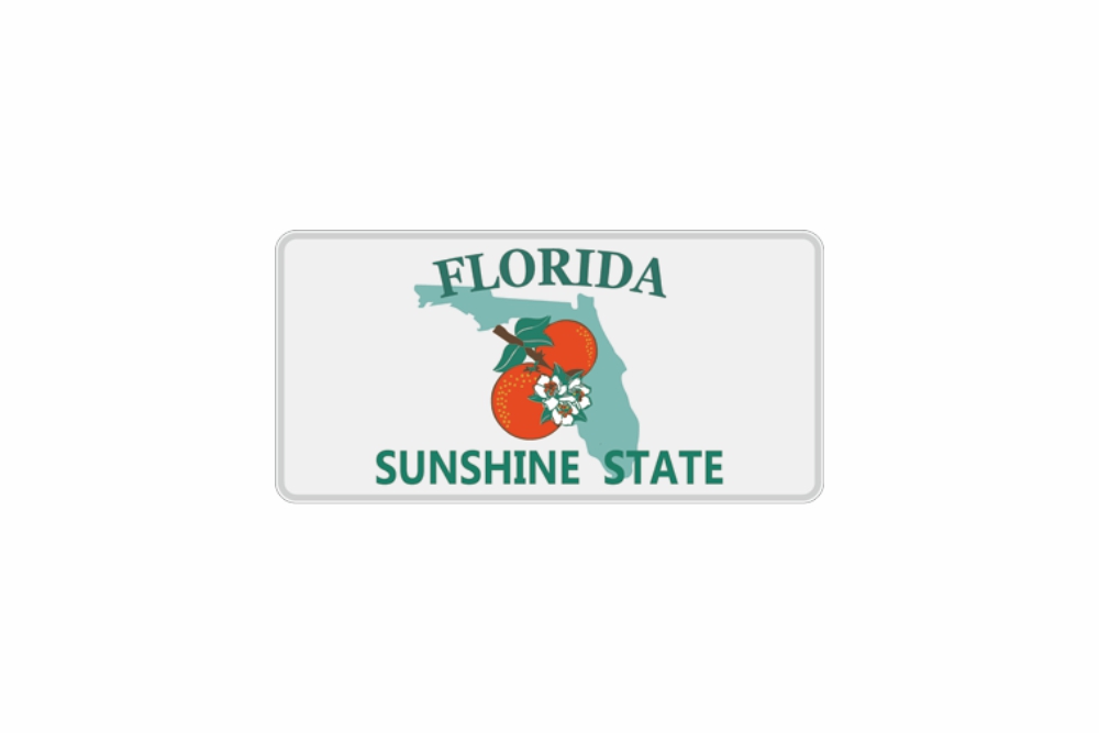 Schild Florida reflex 300 x 150 x 1 mm