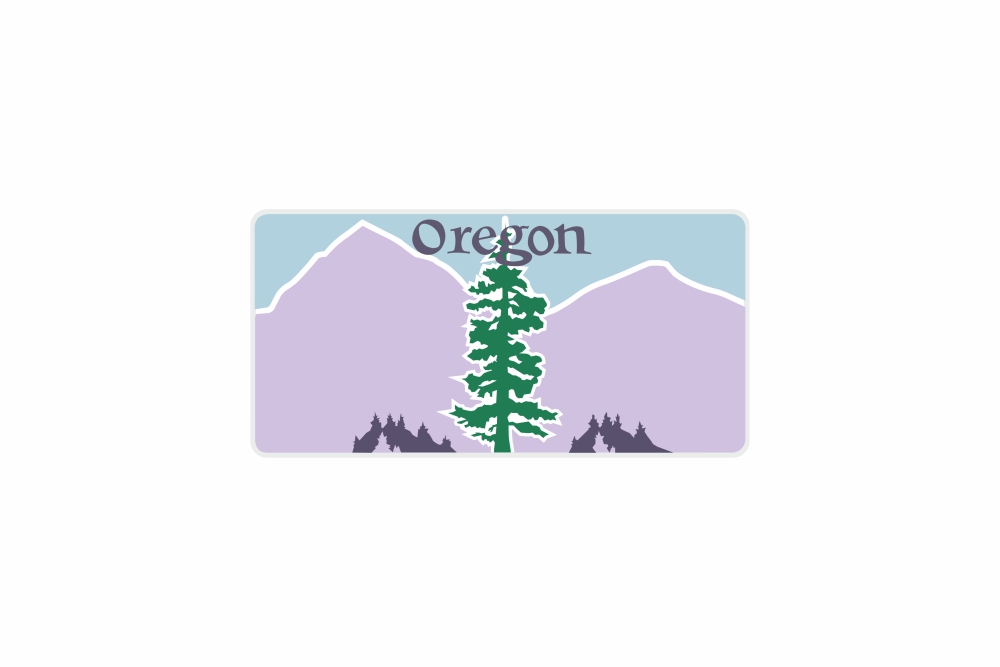 Plate Oregon 300 x 150 x 1 mm